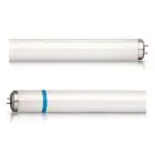 Philips TL-D Secura 18W - Zwartlight | 60cm